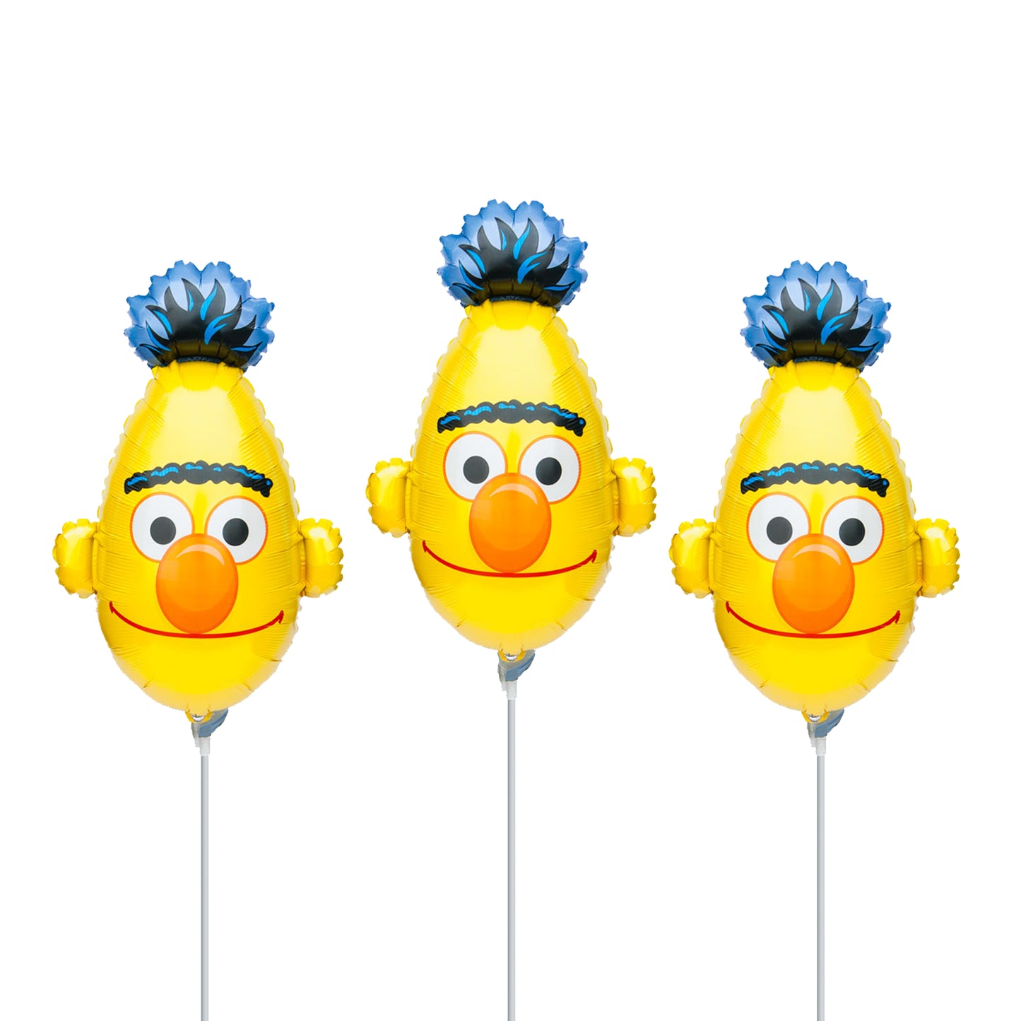 Bert Party Balloons