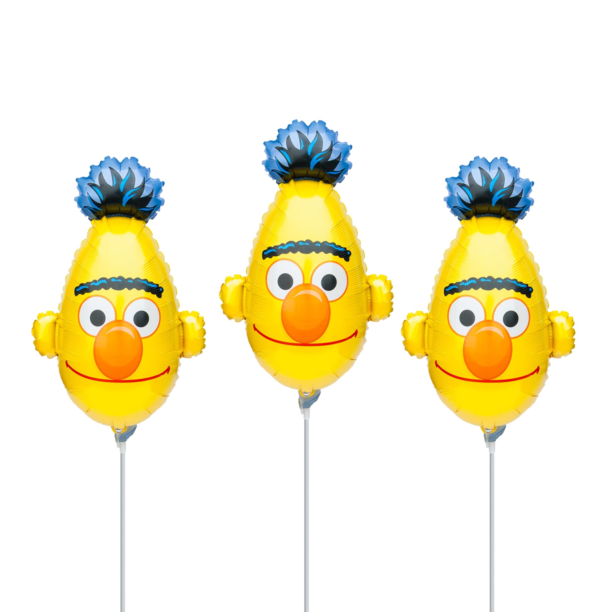 Bert Party Balloons
