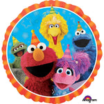 Sesame Street Fun Birthday Balloon